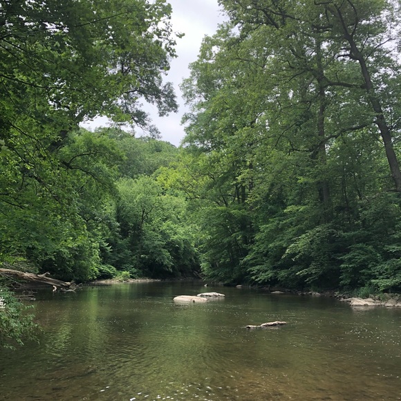 Meet your Posher, Gwen - Picture 1 of 1